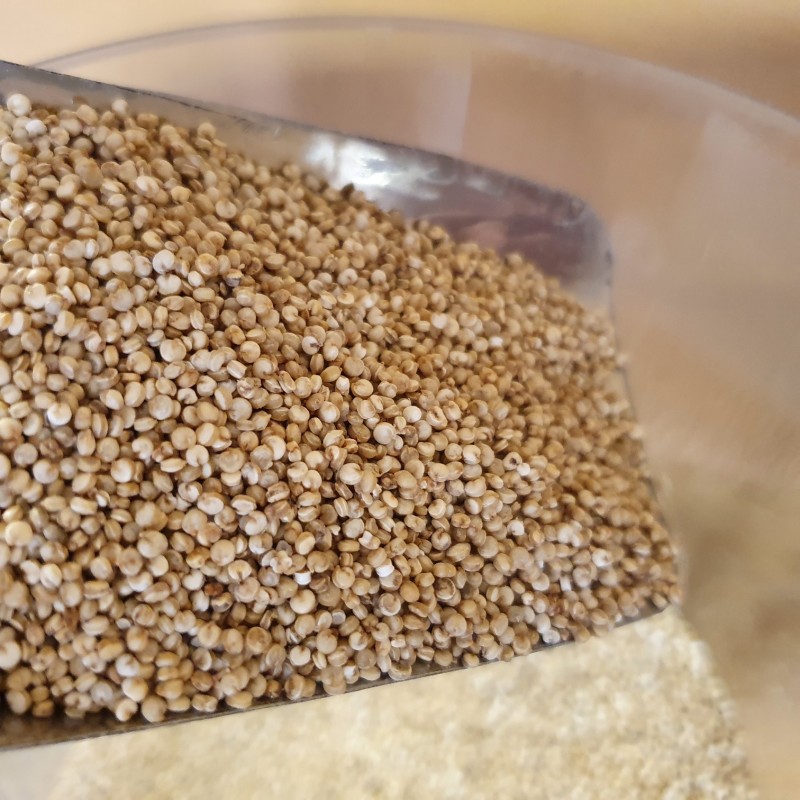 Quinoa Portuguesa Biológica