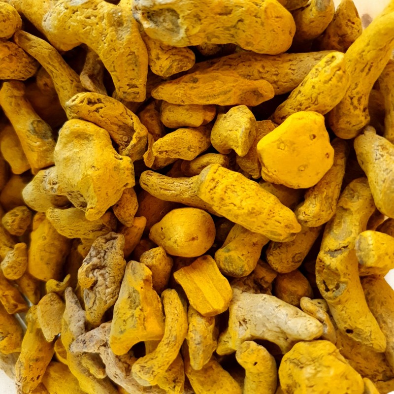 Curcuma Raiz