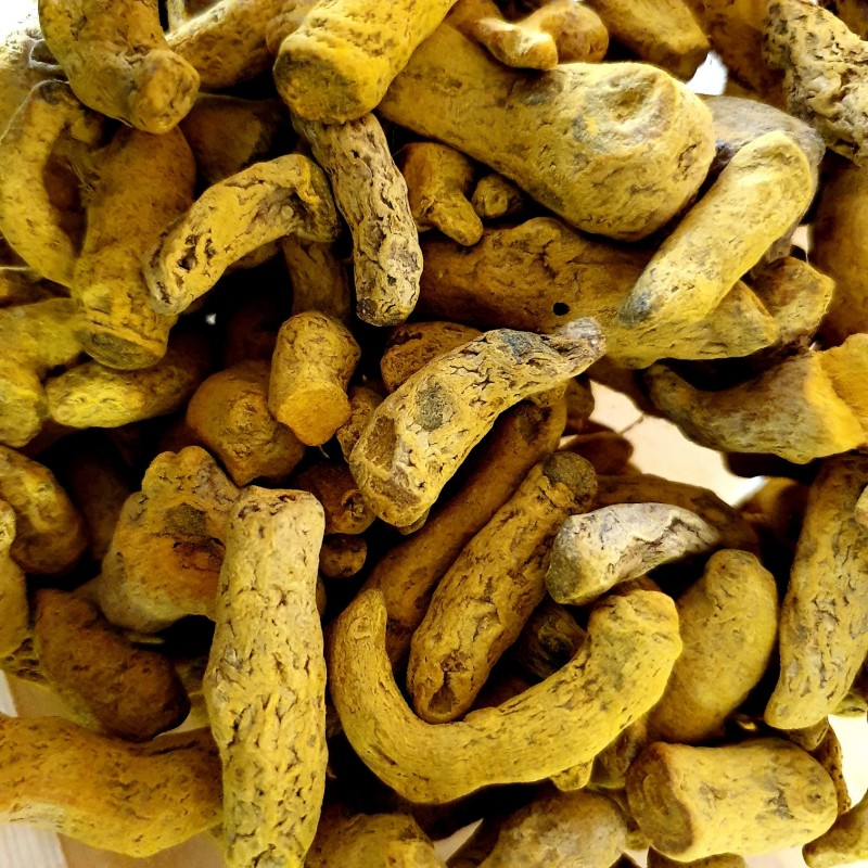 Raiz de Curcuma