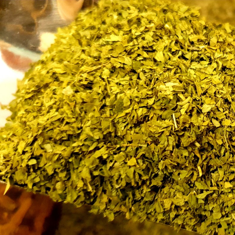 Salsa Biológica